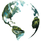OIVA_logo_white_163x151
